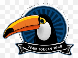 Logo Toucan Toco Team - png