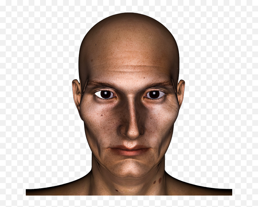 Head Man Bald - Careca Png,Bald Head Png