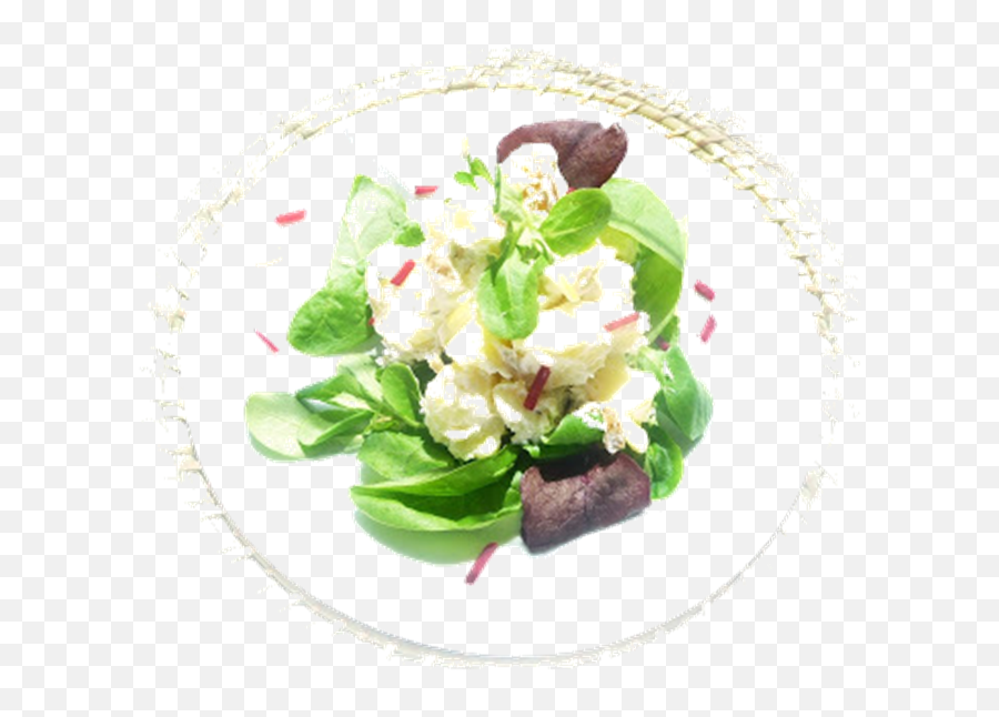 Potato Salad Ideas Here - Garden Salad Png,Potato Salad Png