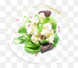 Potato Salad Ideas Here - Garden Salad Png,Potato Salad Png