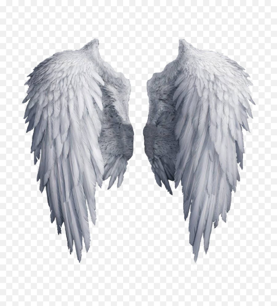 White Angel Wings Png - Transparent Background Angel Wings Clipart,Wing Png