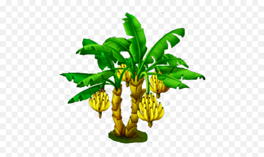 Banana Tree - Banana Tree Png,Banana Leaf Png