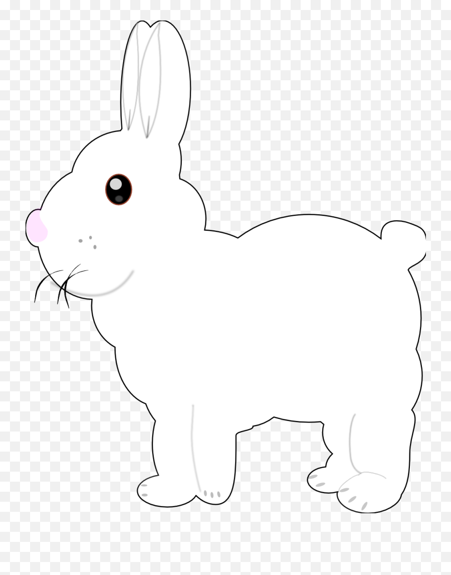 Black And White Bunny Pictures - Domestic Rabbit Domestic Rabbit Png,White Bunny Png