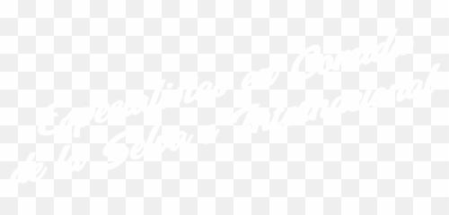 En The Yellow Rose Of Texas Restaurant Somos Especialistas - Calligraphy Png,Comida Png