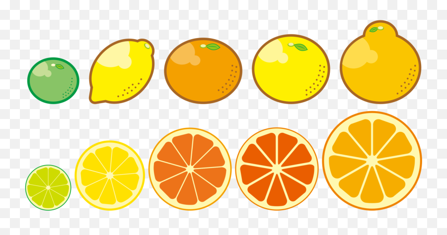 Plantvegetarian Foodlemon Png Clipart - Royalty Free Svg Png Transparent Citrus Fruits Clipart,Lemon Png