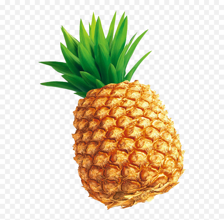 Fruits Png Images Real - Illustration Pineapple Png,Pineapple Png