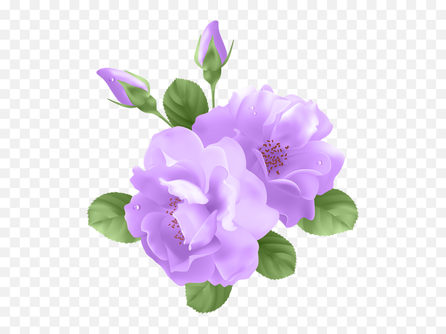 Purple Flower Vector Royalty Free - Transparent Background Purple Rose Clipart Png,Purple Flowers Png