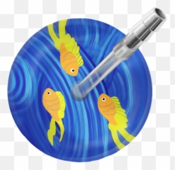 Goldfish Stethoscope - Illustration Png,Goldfish Transparent