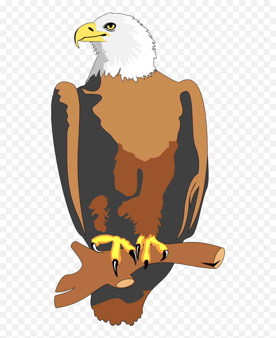 Eagle 19 Svg Clip Arts Download - Download Clip Art Png Bald Eagle,Eagle Clipart Png