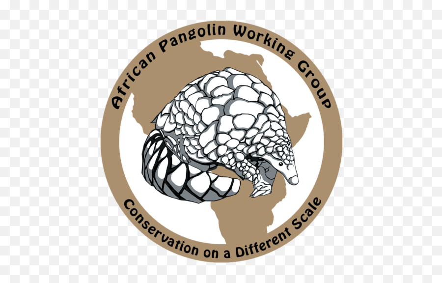 Icon - African Pangolin Working Group Png,Working Group Icon