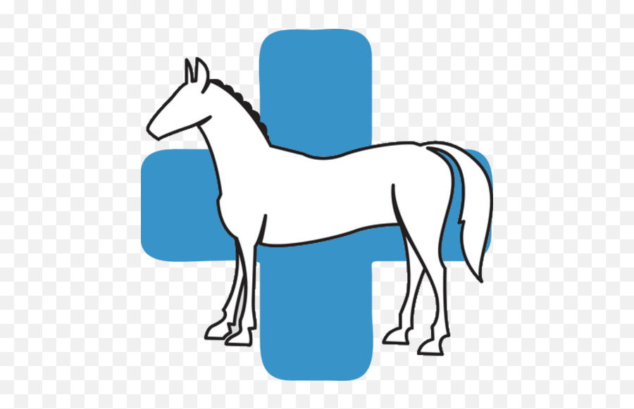 Sparks Equine Veterinary Service - Horse Clinic Icon Png,Forest Service Avian Icon