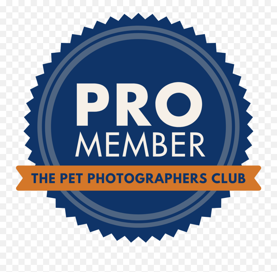About - Kylee Doyle Photography Sacramento Pet Photography Notary Red Seal Png,Tails Life Icon