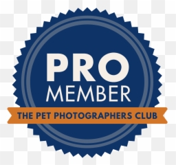 About - Kylee Doyle Photography Sacramento Pet Notary Red Seal Png