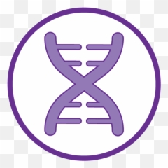 Regenerative Wellness - Language Png,Wellness Icon