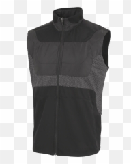 Louis Vest - Sleeveless png