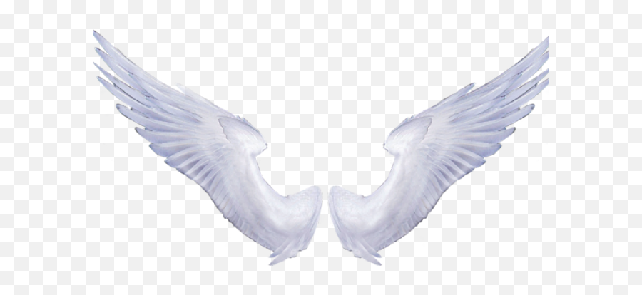 Download Angel Wings Transparent - Full Size Png Image Pngkit Transparent Png Angel Wings,Angel Halo Transparent Background