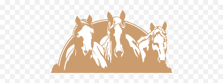 Red Horse U2013 Center For Collaborative Leadership - Horse Supplies Png,Horse Face Icon