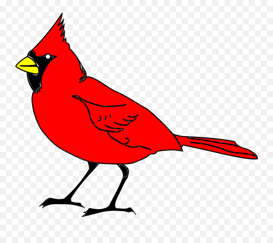 Cardinal Png 3 Image - State Bird For North Carolina,Cardinal Png