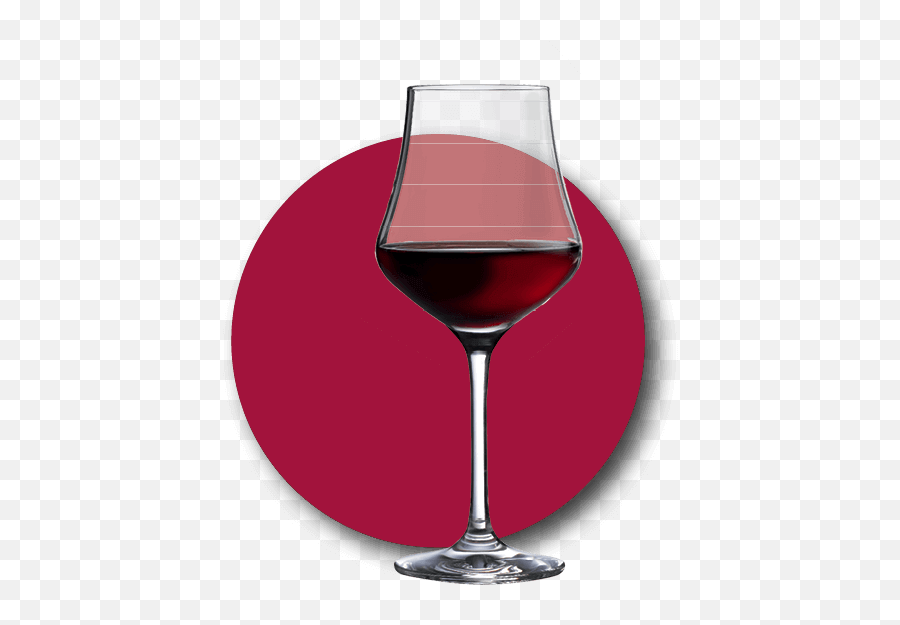 Tipps Und Tricks Bei Der Weinprobe Weine Verkosten Wie Ein - Champagne Glass Png,Sektglas Icon