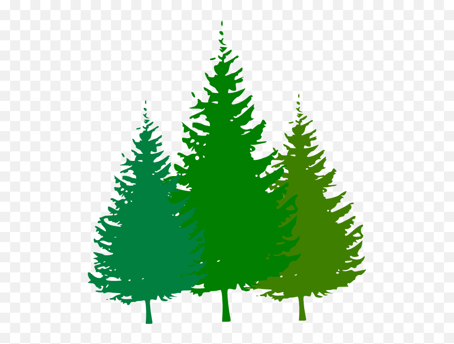 Clipart Trees Forest - Pine Tree Black And White Png,Forest Transparent Background