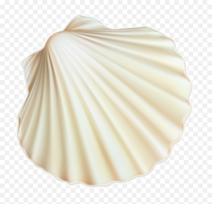 Shell Clipart Form Transparent Free For Download - Transparent Background Seashell Png,Shell Png
