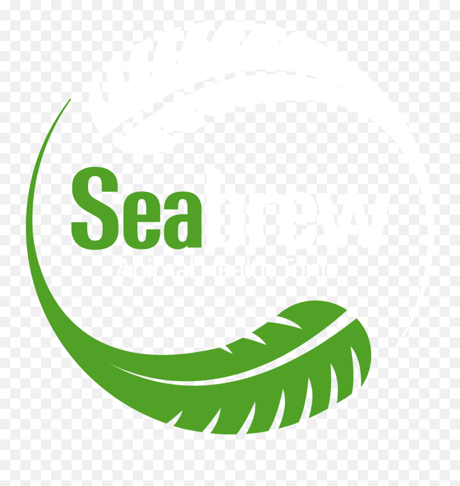 Download Hd Seaweed Clipart Png Transparent Image - Illustration,Seaweed Png