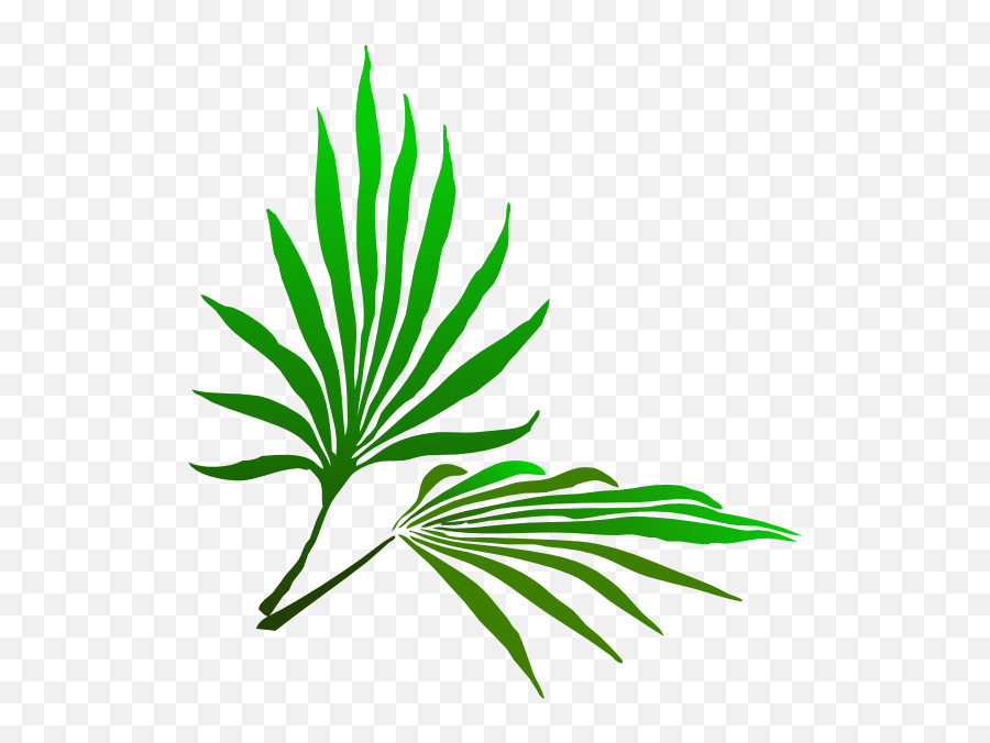Sukkot Palm Branch Transparent Png - Clip Art Palm Sunday,Palma Png