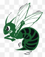Highland - Team Home Highland Hornets Sports Highland High School Hornets Png,Hornets Logo Png