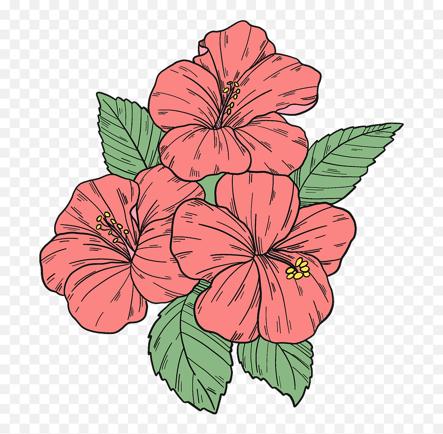 Pink Hibiscus Flowers Clipart - Hibiscus Flower Clipart Png,Hibiscus Png