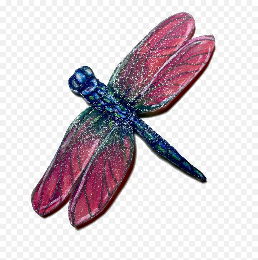 Dragonfly No Background - Dragonfly Png,Dragonfly Transparent Background
