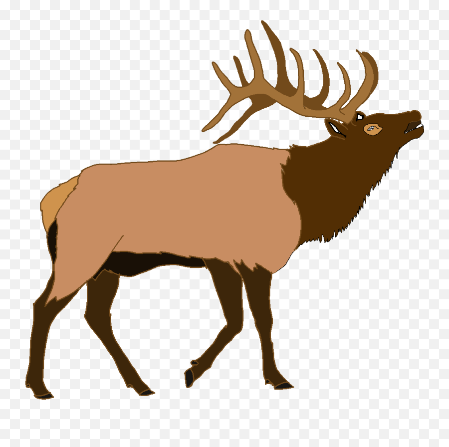 Elk Deer Illustration Vector Graphics - Transparent Elk Clipart Png,Elk Png