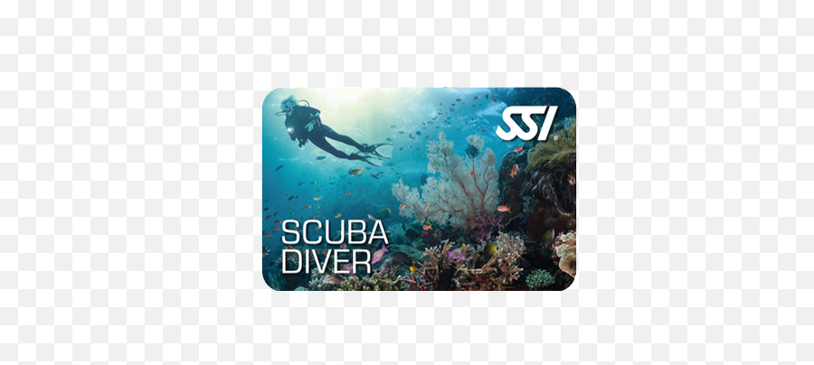 Ssi Try Scuba Diver - Scuba Diver Ssi Png,Scuba Diver Png