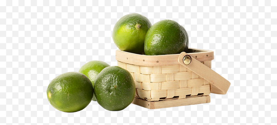 Tube Fruit Citrons Verts Png Panier - Basket Limes Png Persian Lime,Limes Png