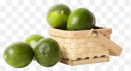 Tube Fruit Citrons Verts Png Panier - Basket Limes Png Persian Lime,Limes Png