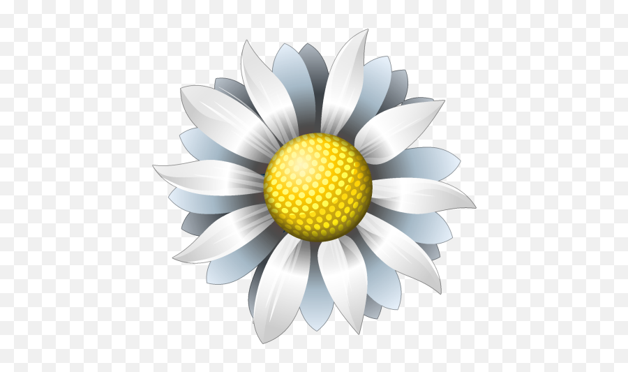 Icon Png Flower 1 Image - Whote Flower Icon Png,Flower Icon Png