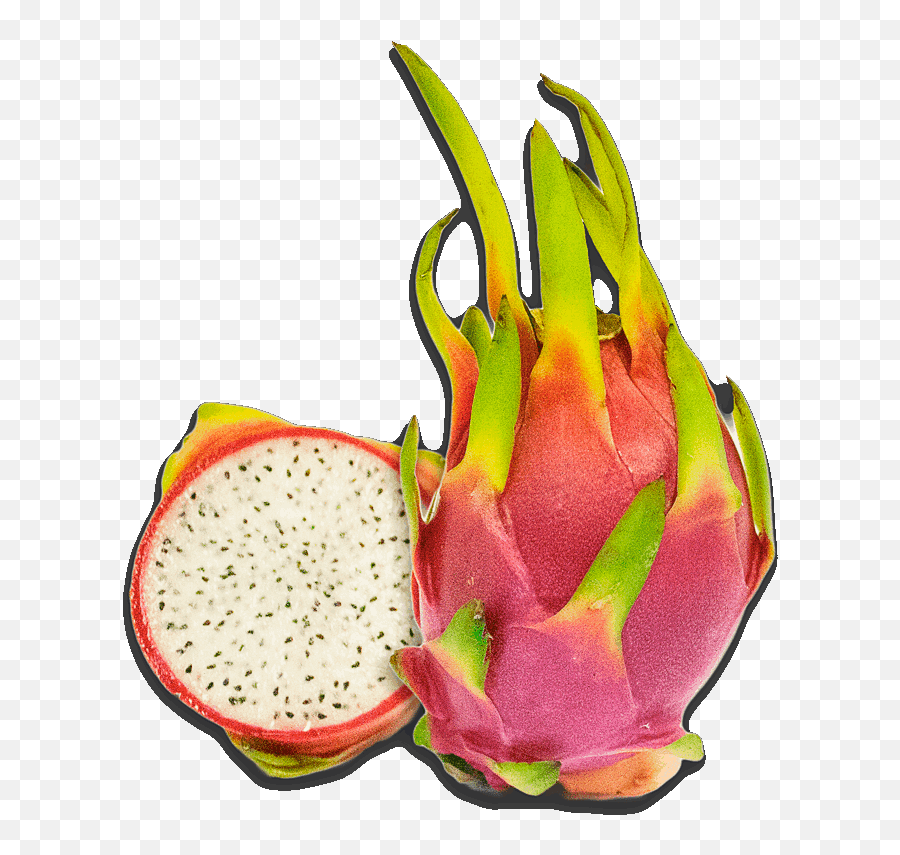 Dragon Fruit Clipart - Pitaya Png,Dragon Fruit Png