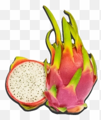 Dragon Fruit Clipart - Pitaya Png,Dragon Fruit Png