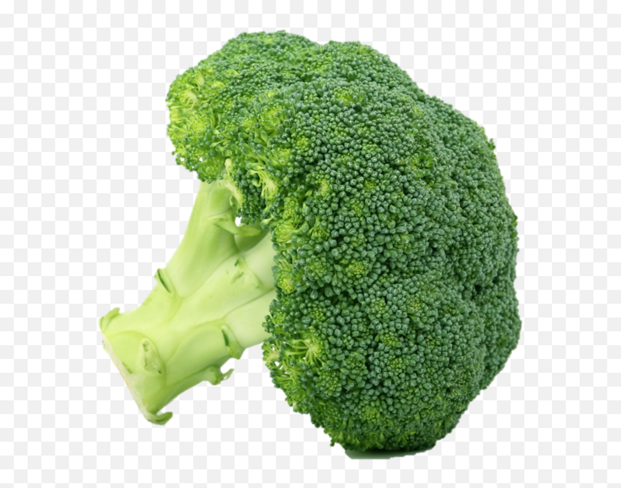 Products U2014 Cornerstone Produce Group - Broccoli Brócoli Png,Broccoli Png