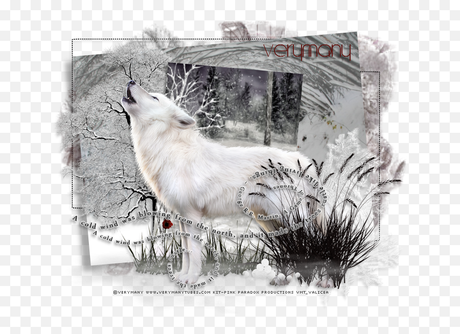 Leather And Lace Tuts White Wolf - Alaskan Tundra Wolf Png,White Wolf Png
