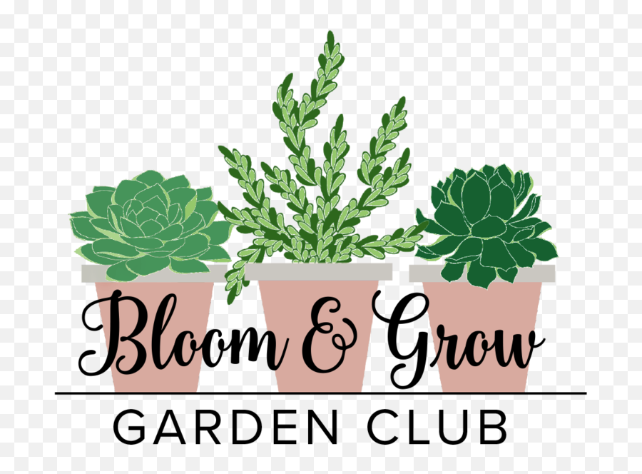 Bloom U0026 Grow Radio - Podcast And Community For Houseplant Lovers Bloom And Grow Radio Png,Growing Plant Png