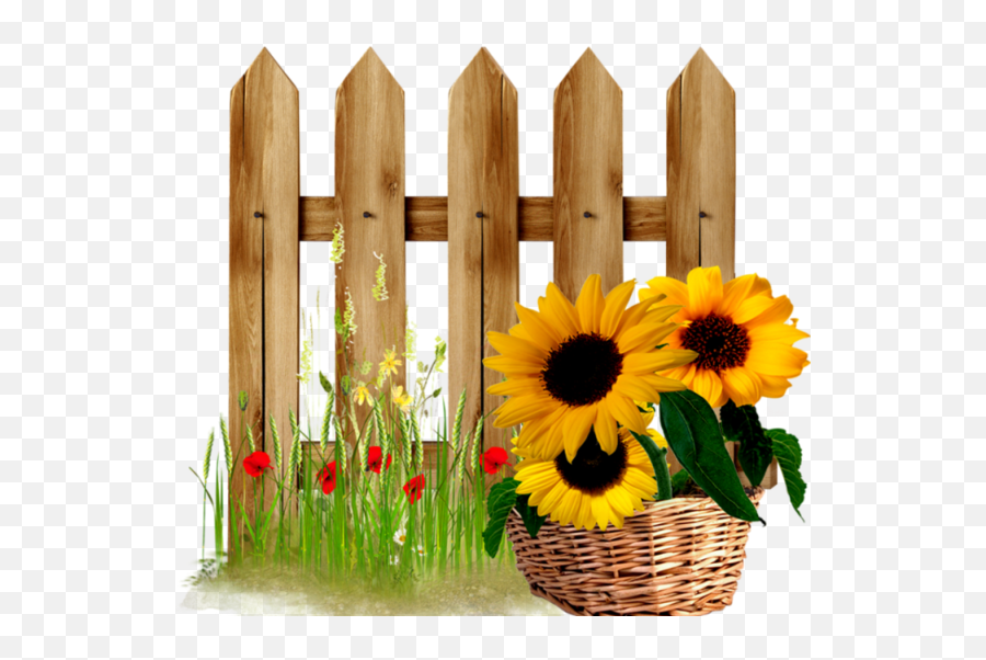 Fence Clipart Sunflower Transparent Free - Sunflower Fence Clipart Png,Sunflower Clipart Png