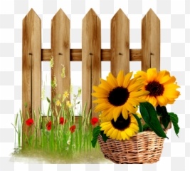 Fence Clipart Sunflower Transparent Free - Sunflower Clipart png