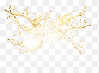 Beer Splash Ink Free Frame Clipart - Png
