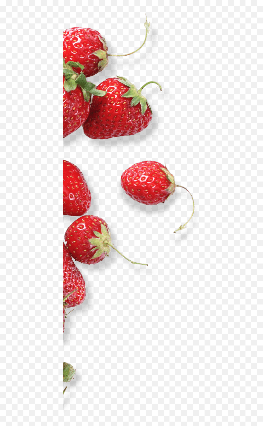 Top - Shelf Spanish Gins From Puerto De Indias Frutti Di Bosco Png,Strawberries Transparent Background