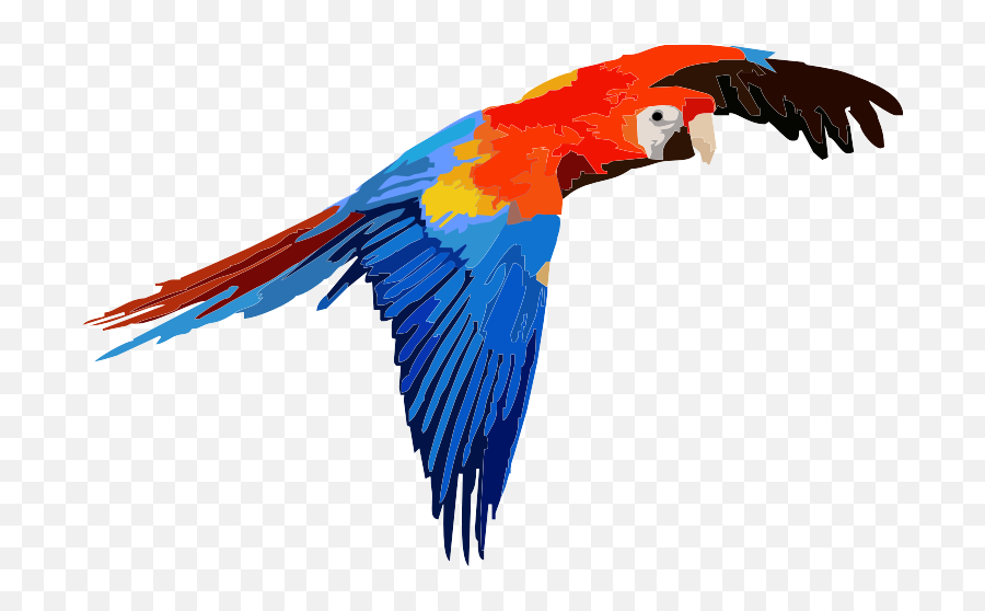 Artisan 5 Star Review U2014 Grahame Shannon - Macaw Png,5 Star Review Png