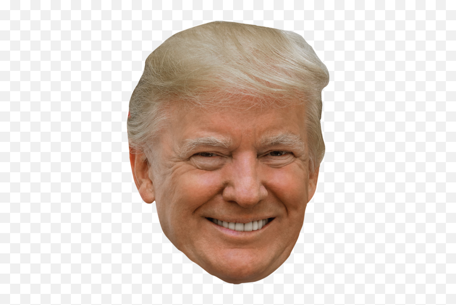 Donald Trump 2020 Stickers U2013 Wallmonkeyscom - Transparent Donald Trump Sticker Png,Trump Wall Transparent