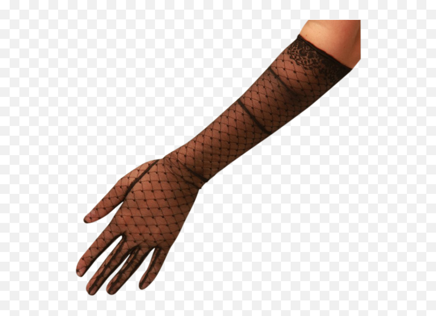 Chloe Lace Glove Gloves Black - Lace Gloves Png,Fishnet Pattern Png - free  transparent png images 