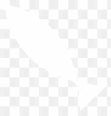 Bald Eagle Overview All About Birds Cornell Lab Of Ornithology - Fish png