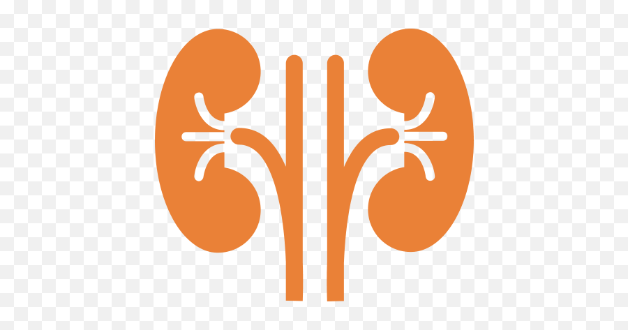 Moolchand Best Nephrology Hospital Top Nephrologists And - Kidney Clipart Png Black And White,Jaina Icon Twitch