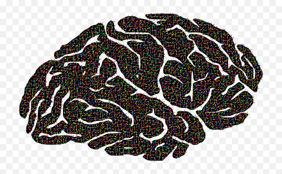 Brains Clipart Transparent Background Png Brain